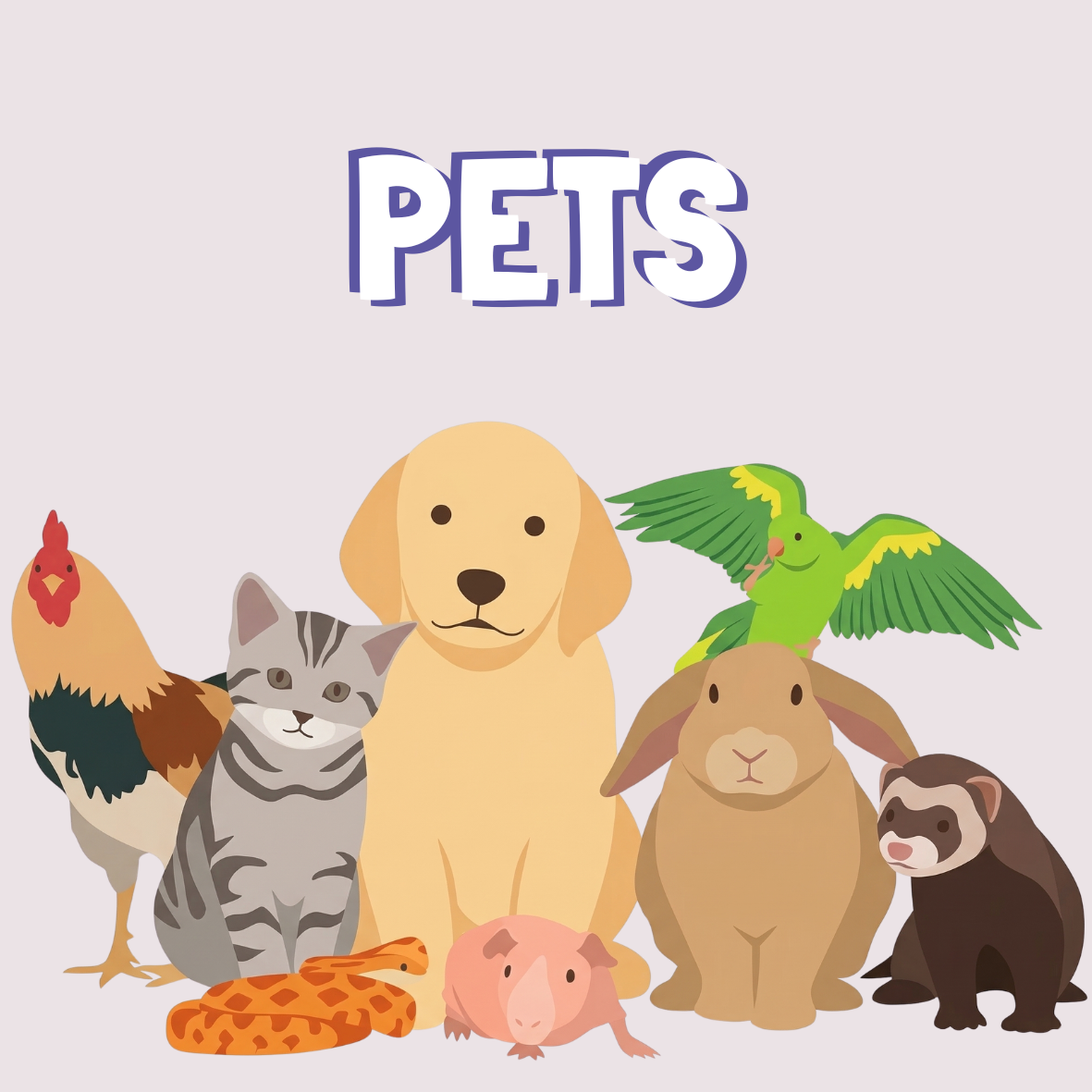 Pets