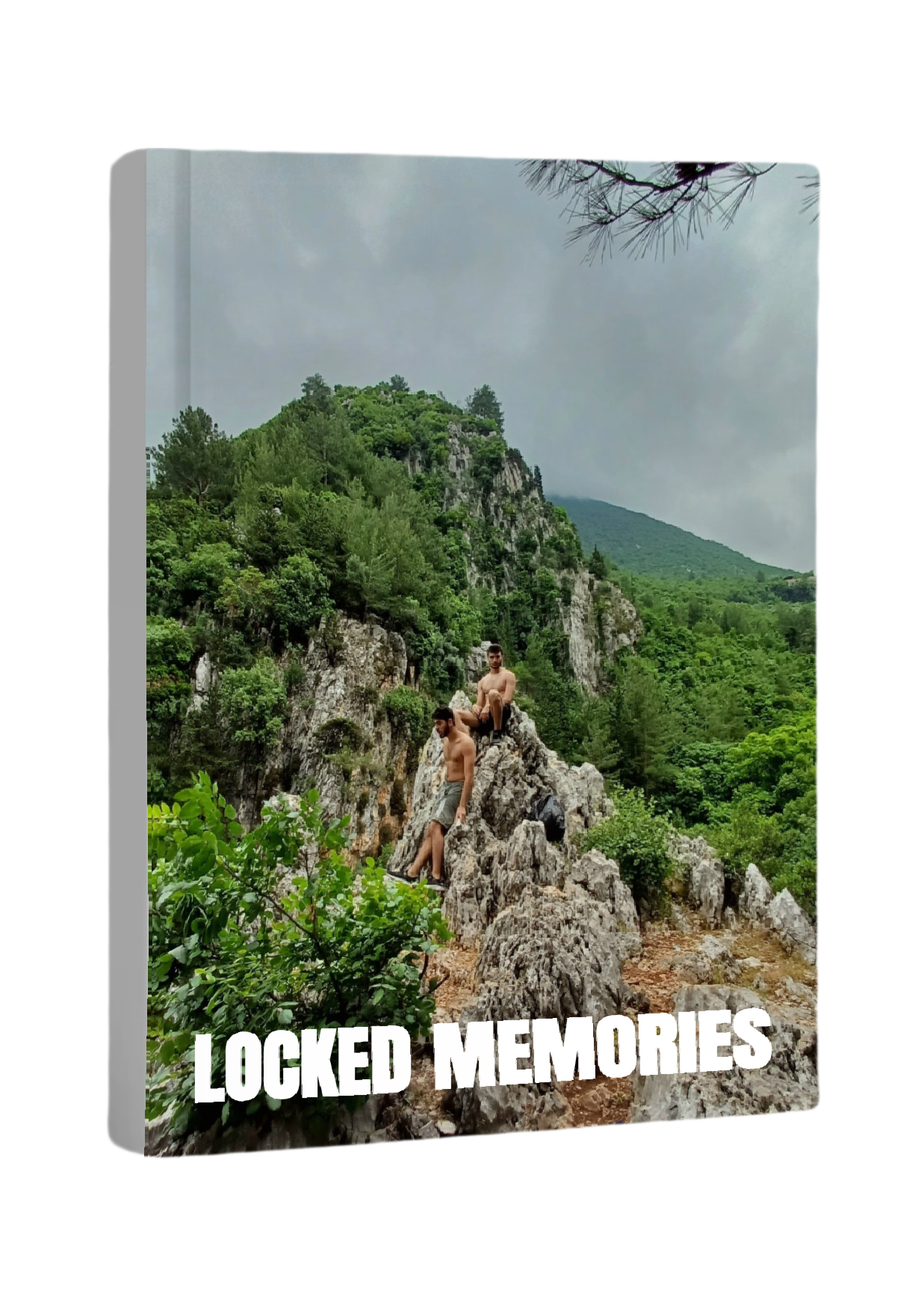 Locked Memories