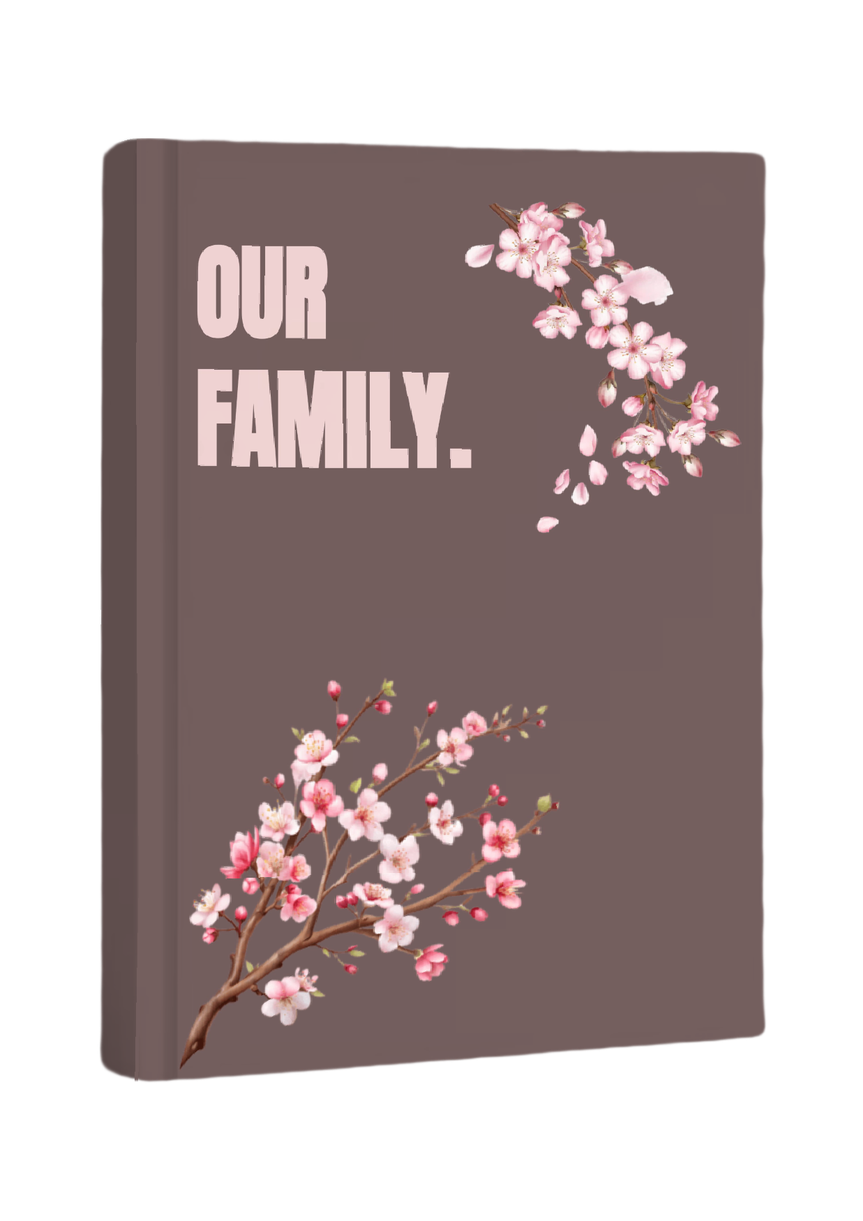 Our Family