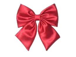 Bow 4.0