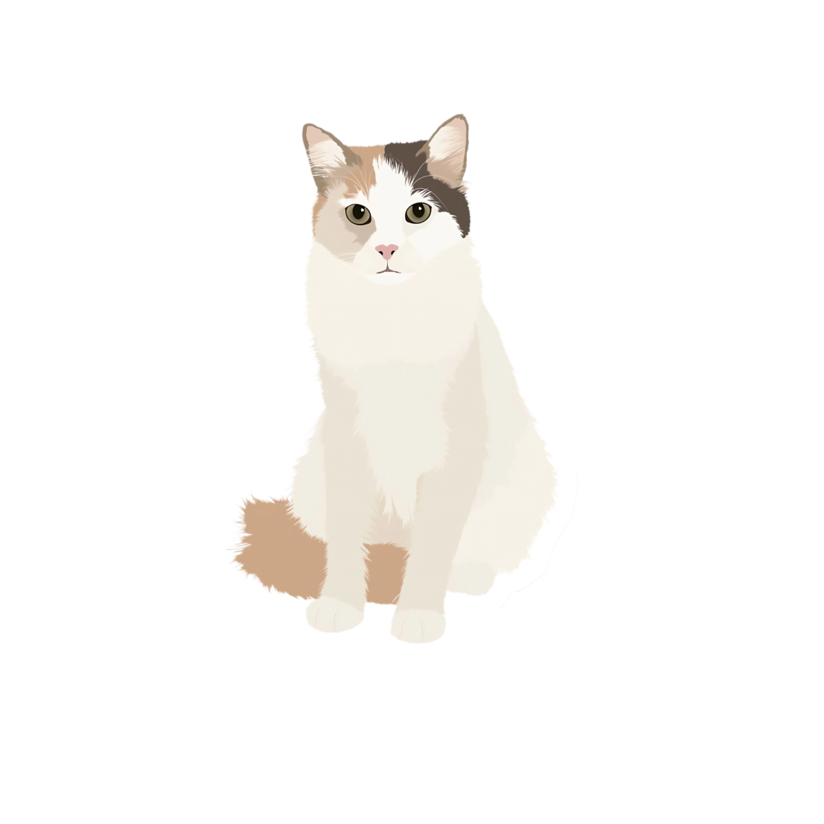 Cat 2.0