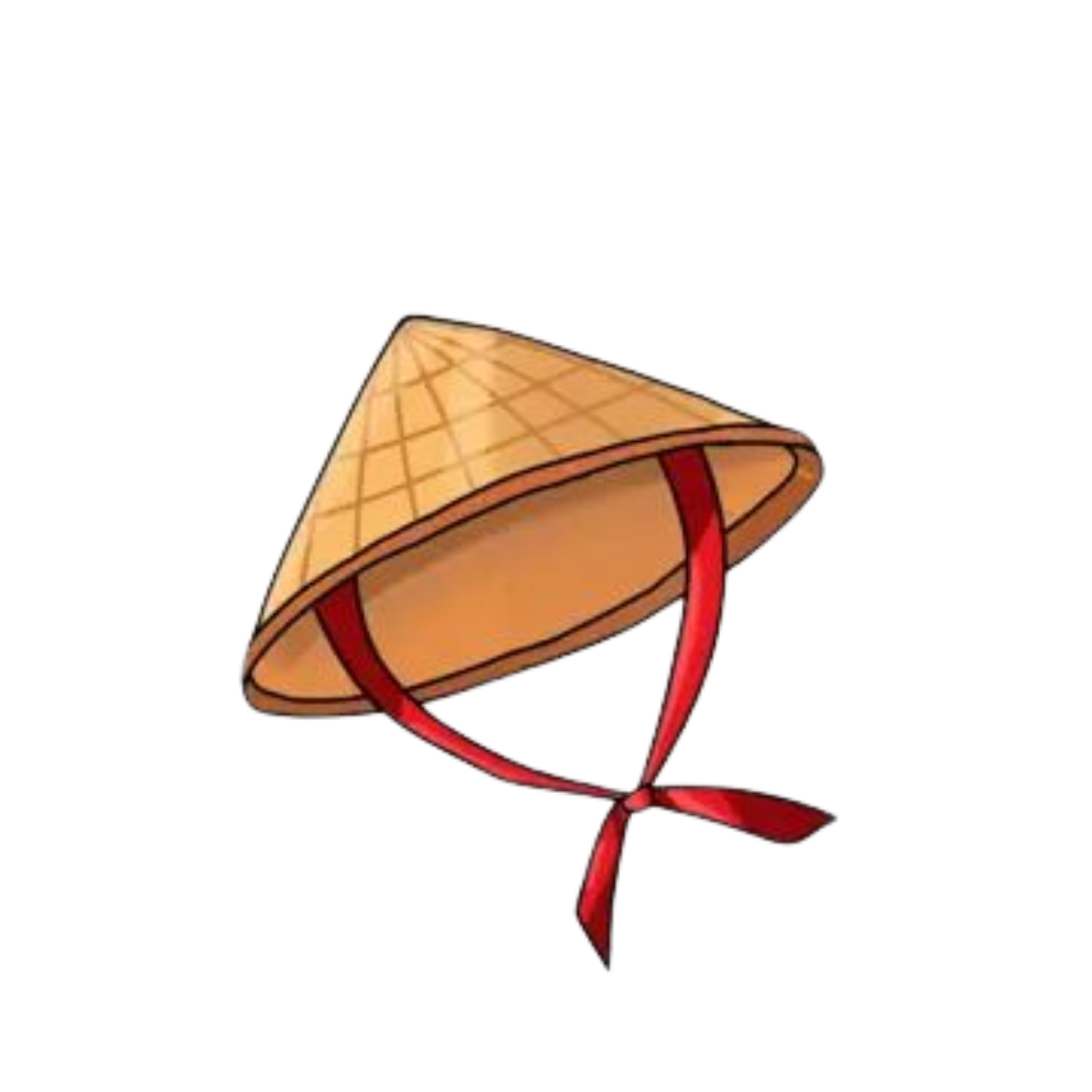 Vietnamese Hat