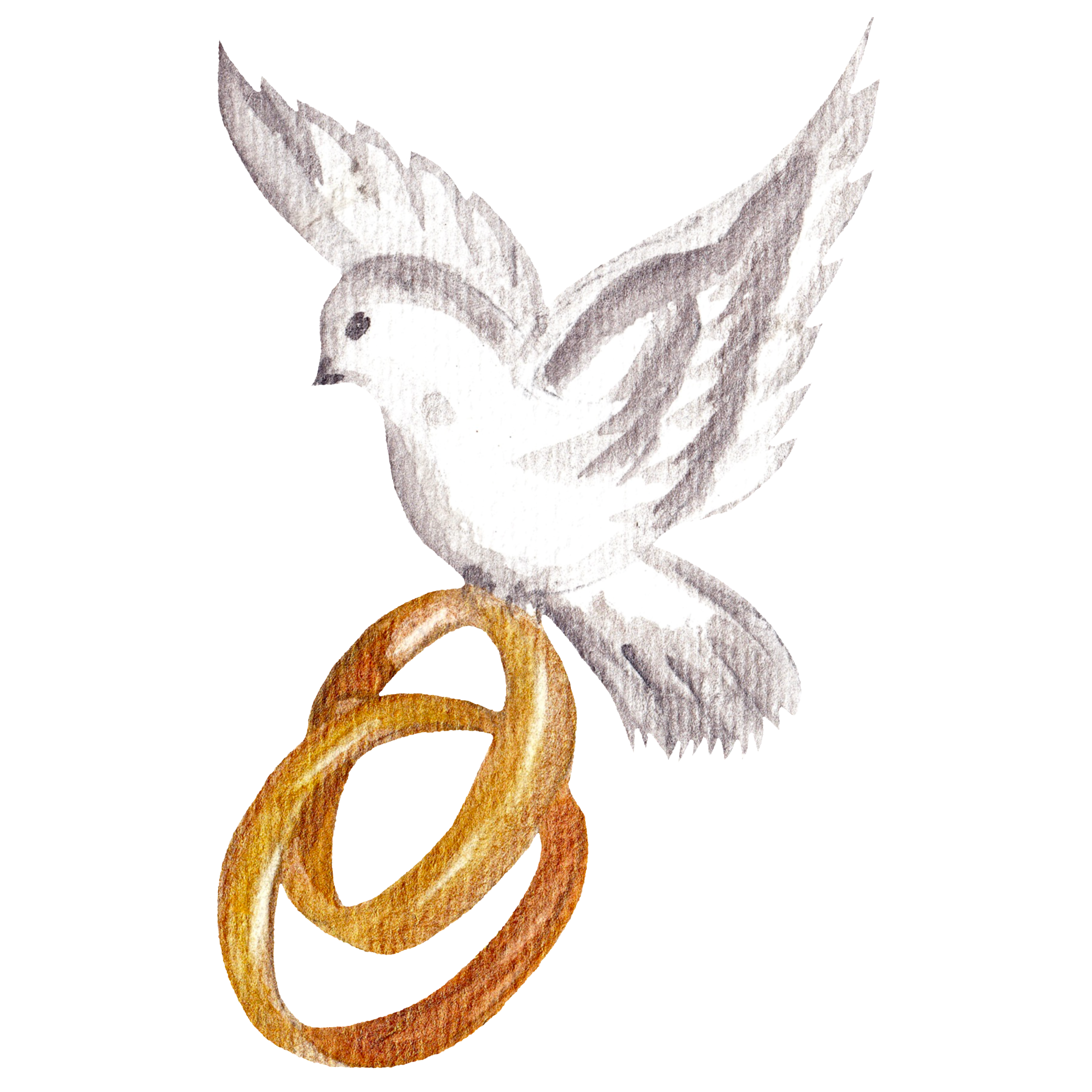 Pigeon and Wedding Rings 1.0